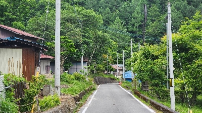 Photo from 2023/6/10