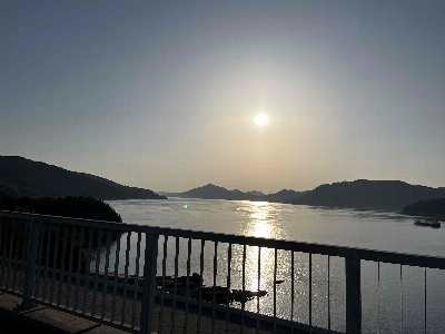 Photo from 2024/5/10