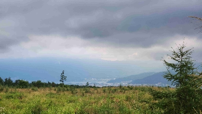 Photo from 2024/8/20