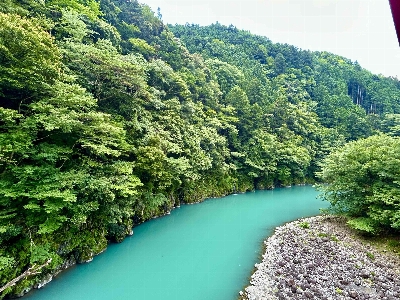 Photo from 2025/7/13