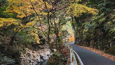 Photo from 2025/11/24