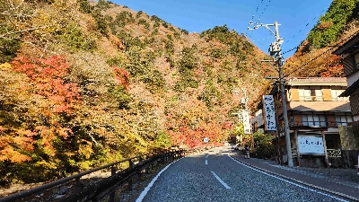 Photo from 2025/11/16