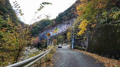 Photo from 2025/11/24