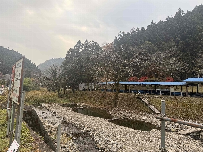 Photo from 2025/12/2