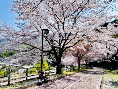 Photo from 2026/3/29