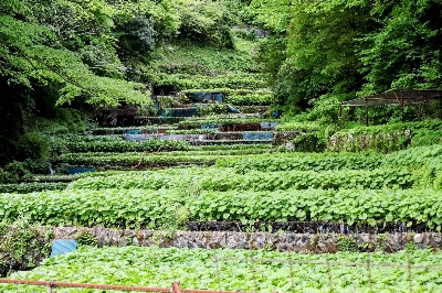 Photo from 2024/5/12