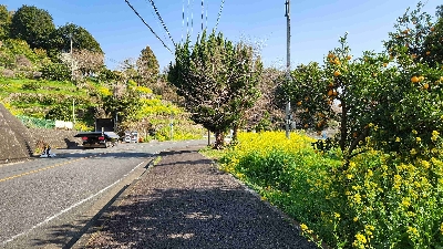 Photo from 2025/3/25