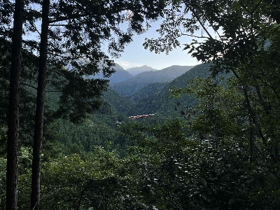 Photo from 2025/7/26