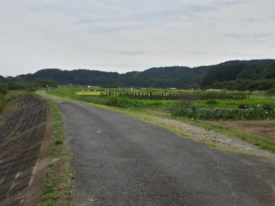 Photo from 2017/9/22