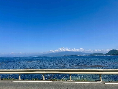 Photo from 2025/4/29