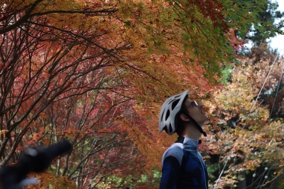 Photo from 2023/11/5