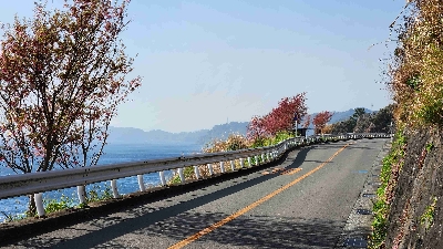 Photo from 2025/3/25