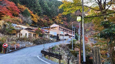 Photo from 2025/11/16