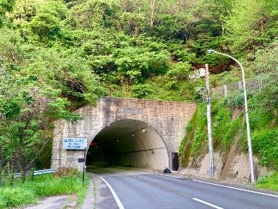 Photo from 2024/4/28