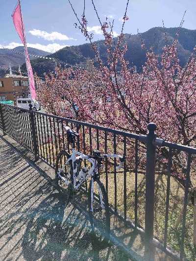 Photo from 2024/1/17