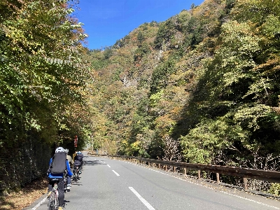 Photo from 2024/11/10