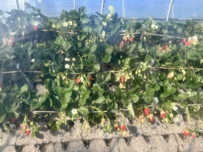 Photo from 2025/12/27