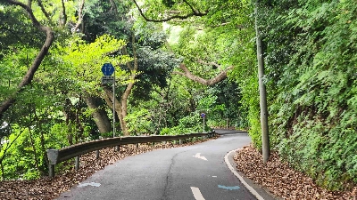 Photo from 2025/6/19