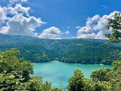 Photo from 2025/7/13