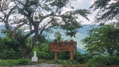 Photo from 2024/8/13