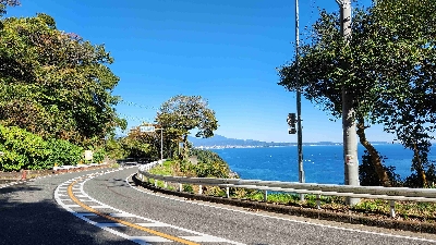 Photo from 2023/11/19