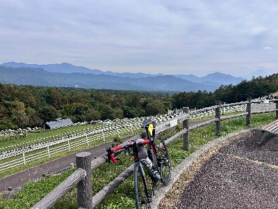 Photo from 2025/10/12