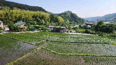 Photo from 2025/5/19