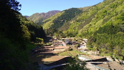 Photo from 2021/4/25