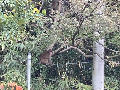 Photo from 2023/11/2