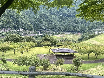 Photo from 2024/7/20