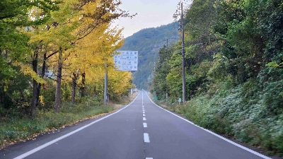 Photo from 2025/11/16