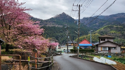Photo from 2024/2/17