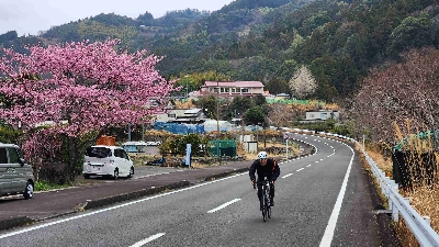 Photo from 2025/3/15