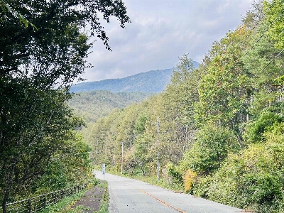 Photo from 2025/10/12