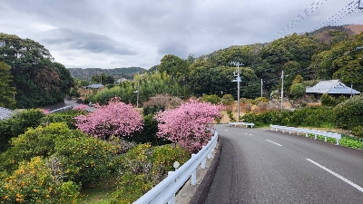 Photo from 2024/2/17