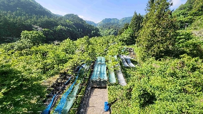 Photo from 2025/5/19