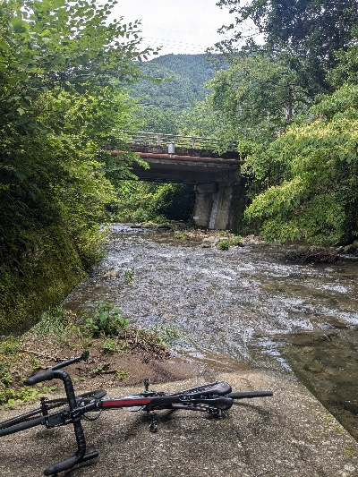 Photo from 2024/6/22