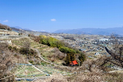 Photo from 2025/3/23