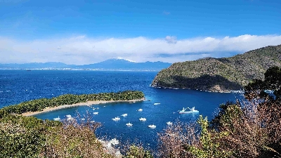 Photo from 2024/1/24