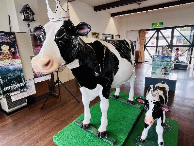 Photo from 2025/10/12