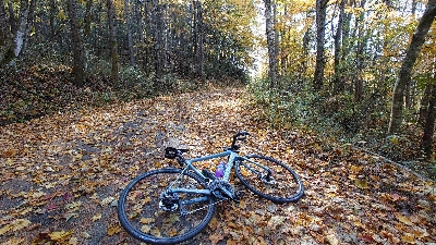 Photo from 2025/11/7