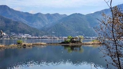 Photo from 2025/4/20