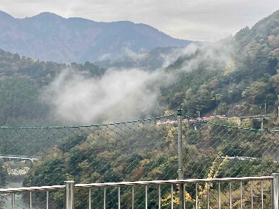 Photo from 2024/11/16