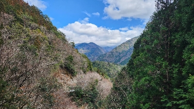 Photo from 2023/2/23