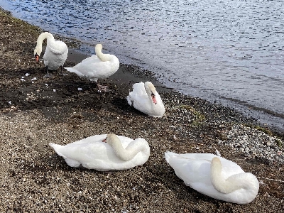 Photo from 2024/10/19