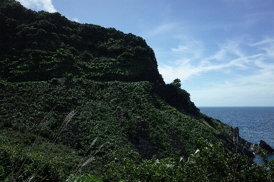 Photo from 2024/9/15