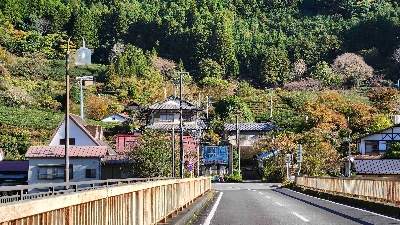 Photo from 2024/11/21