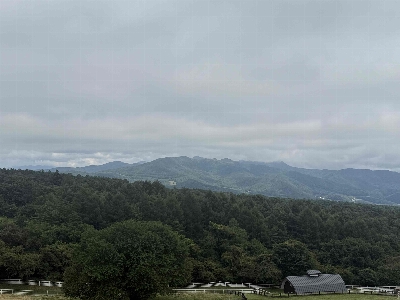 Photo from 2025/8/16