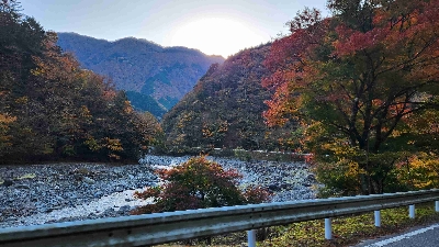 Photo from 2025/11/16