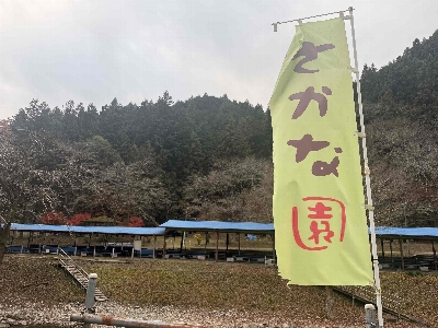 Photo from 2025/12/2